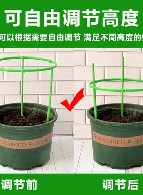双层蟹爪兰花花架支撑杆支架爬藤花支架兰花花架太阳花支架花架子