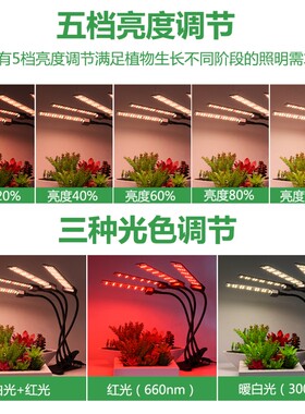 led植物生长灯夹子架种植补光灯全光谱多肉育苗定时调光仿太阳12V
