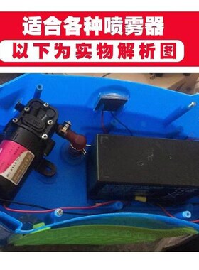 12v直流增压隔膜自吸浇花泵12伏农用电动喷雾器智能洗车配件水泵