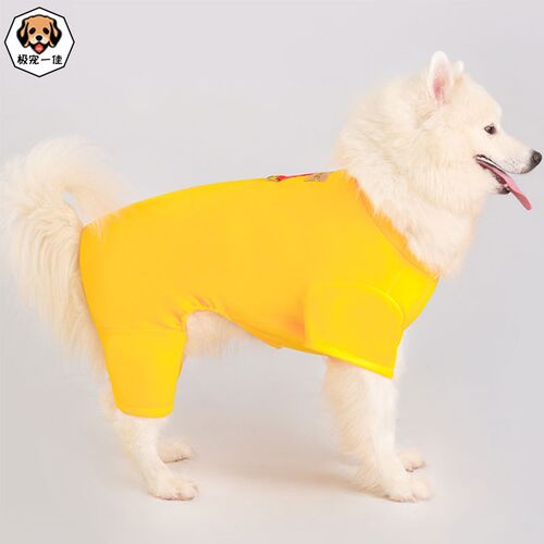 2024新款中大型犬秋冬卫衣 金毛柴犬防脏休闲服装 - 图0