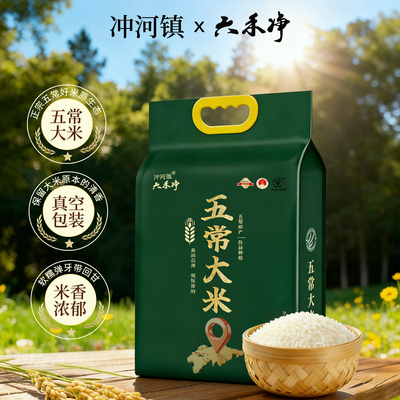 六禾净黑土地新米五常大米5kg