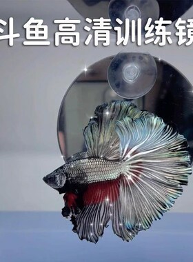 鱼缸内外镜子造景展尾锻炼互动悬浮球吸盘泰国斗鱼鼓腮专用训练镜