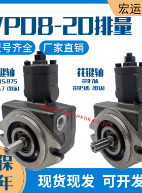 VP-20-FA3叶片液压泵总成 台湾款SVPF系列油泵 铸铁材质叶片泵