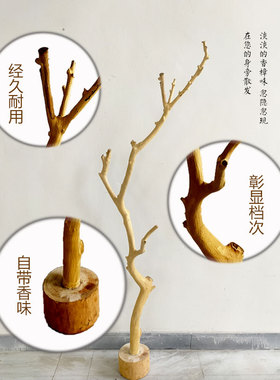 天然去皮鸟架树枝 大型原木造景枯枝 香樟木味造景树枝