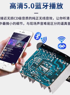 带显示双话筒口功放板大功率内置蓝牙220V12V24v音箱低音炮板