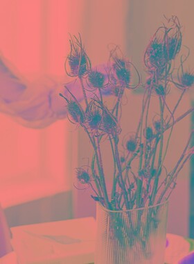 森系发财果天然干花插花绿色配果干树枝宿舍卧室客厅室内桌面装饰