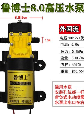 德国进口12v电动喷雾器水泵大功率通用农用高压水泵电机打药机配