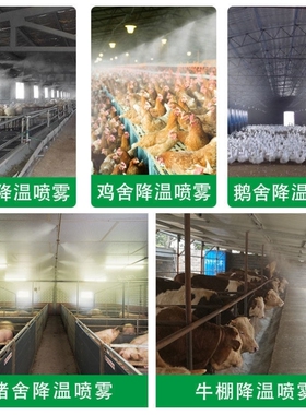 雾化喷头消毒降温除尘家用自动浇花器浇水神器农用喷雾器喷淋系统