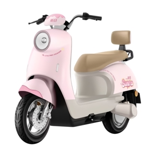 新日丽雅Pro智能电动车