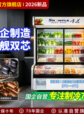 【百年雪花】蔬菜水果冷藏保鲜柜
