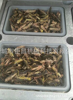 盒式真空包装机  气调真空包装机  保鲜盒式包装机 厂家直销