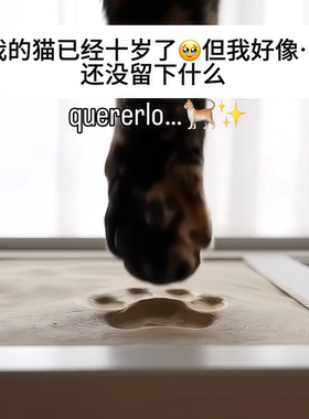 宠物印泥相框爪印纪念猫咪手掌印狗狗脚印采集黏土实木diy相框