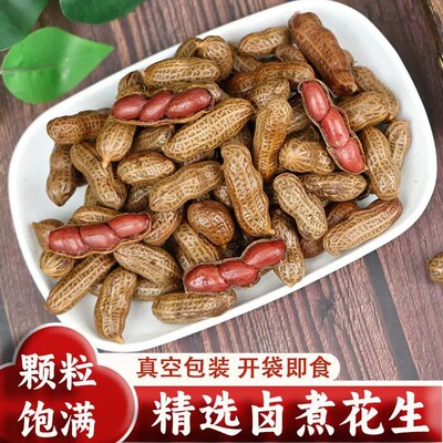 卤汁水煮花生袋装500克五香麻辣味开袋即食带壳湿花生零食小吃