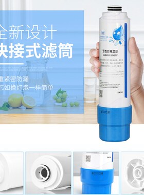 世纪丰源饮水机滤芯过滤滤筒滤芯,过滤器快接滤筒 不含滤芯