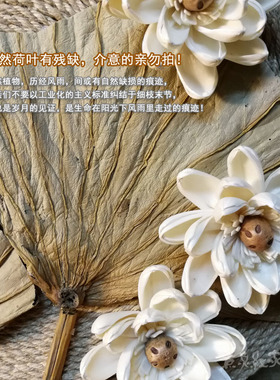 满月照青莲禅意睡莲干花新中式玄关墙面装饰复古创意民宿壁饰