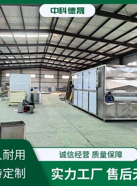 草莓菠萝蜜果蔬脆加工大型商用冻干机宠物食品冻干设备