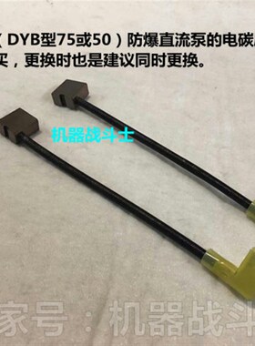 GPM或DYB型防爆直流泵的电碳刷 (是按对购买,也建议同时更换)