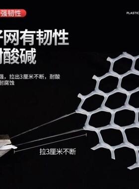 塑料育雏网养鸡鸭网苗床网塑料养殖网脚垫网家禽漏粪网阳台防坠网