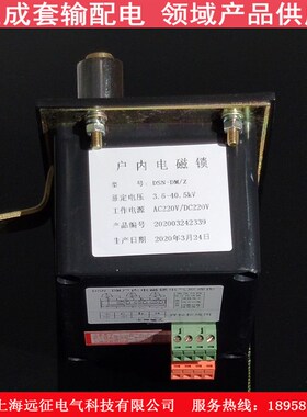 DSN-DMZ/Y高压户内电磁锁AC/DC220V/110V 高压柜配电柜电门锁