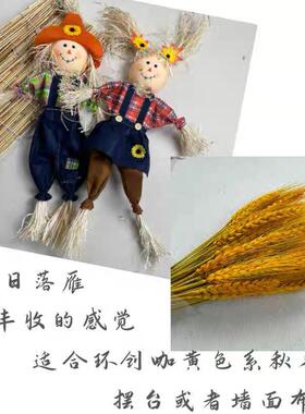 幼儿园小学秋天主题环创布置丰收节装饰diy材料包儿童创意大背景
