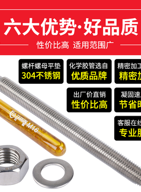 304不锈钢化学螺栓罗丝锚栓膨胀螺丝苗栓M8M10M12M14M16M20M30