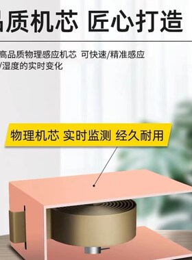 室内外温湿度计高精度数显温度计精准挂壁式温湿度表室温计干湿度