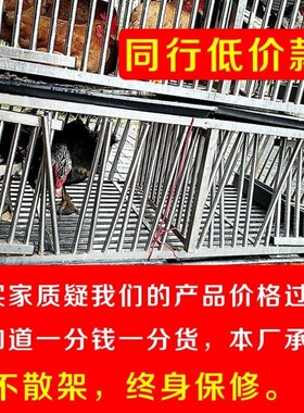 鸡笼子养殖家用室外防雨鸭鸽鸡笼子养鸡笼户外宠物鸡栏鸡鸡舍铁笼
