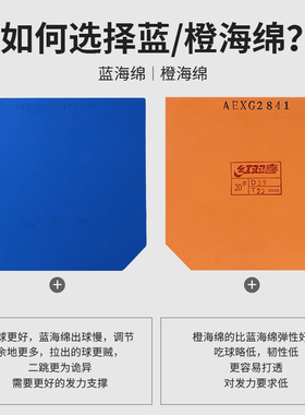 红双喜狂飙3省狂乒乓球反胶套胶 蓝海绵弧圈快攻反胶正品