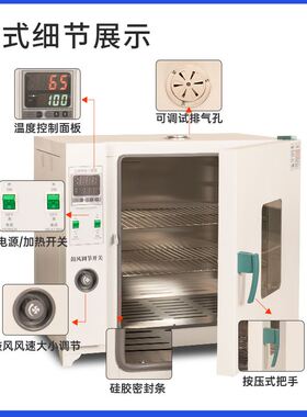 电热恒温鼓风干燥箱小型加热烘干机高温工业用烤箱老化烘箱实验室