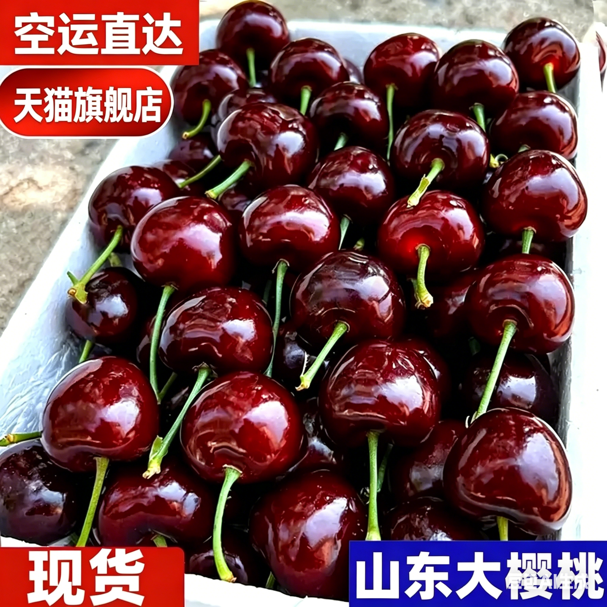 现货山东美早樱桃大樱桃新鲜水果樱桃生鲜礼国产车厘子空运(净重)