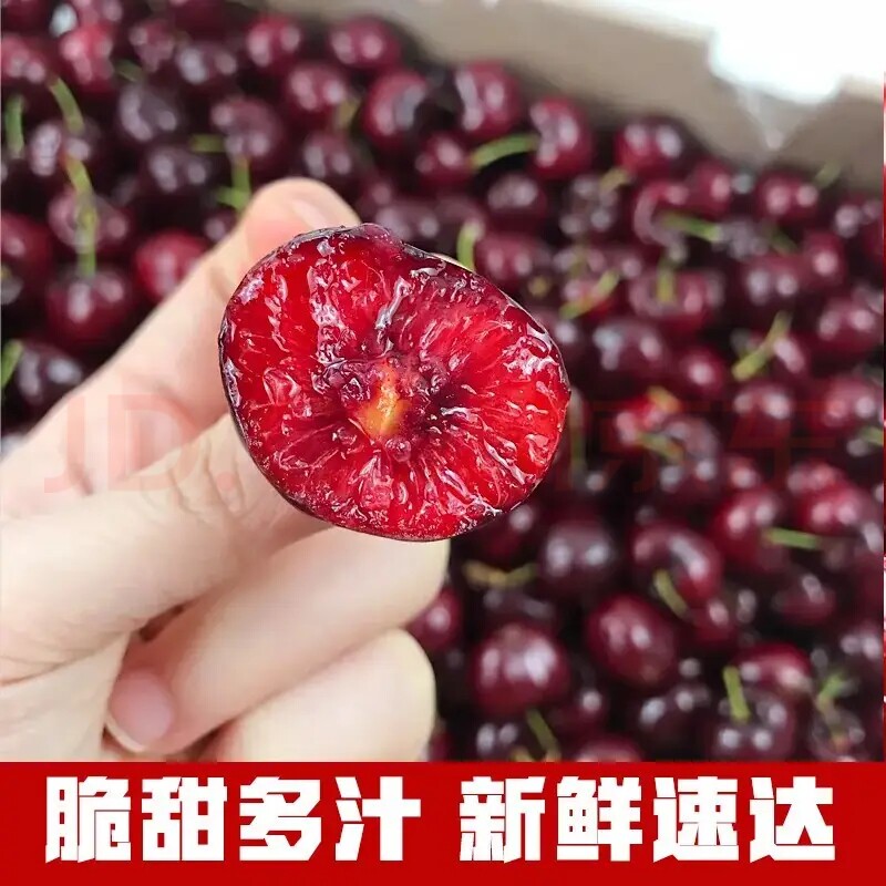 现货山东美早樱桃大樱桃新鲜水果樱桃生鲜礼国产车厘子空运(净重)