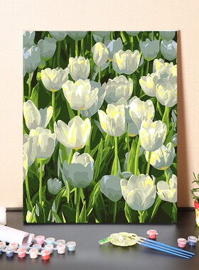 数字油画diy填充手工浪漫白色郁金香花填色手绘涂色丙烯油彩画画