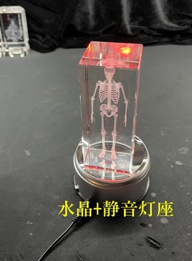 人体骨骼模型水晶内雕结构图激光立体解剖医学生道具水晶工艺品