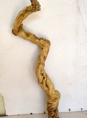 枯木树枝爬宠造景木霸王藤木热带鬃狮蜥蜴守宫睫角蛇攀爬造型树桩