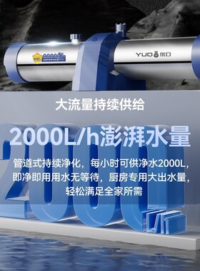 优口管道超滤机 自来水不锈钢过滤器 全屋家用净水器1000L/2000L