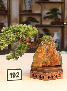 新几式仿真迎客松盆景沙发餐桌花架中关角玄茶台家居酒店中式摆件