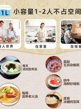 SFU陶瓷迷你小电炖锅家用一人隔水炖燕窝炖盅专用煲炖汤煮粥神器
