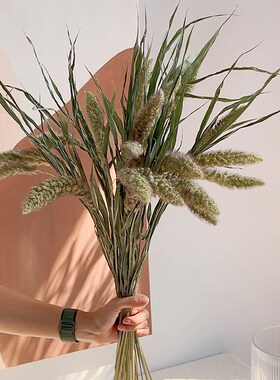 云南天然干花真花熊尾谷穗日式小清新橱窗布置客厅装饰摆件干燥花