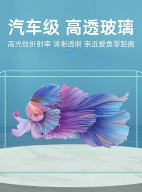 鱼缸客厅小型水族箱玻璃超白热弯金鱼缸裸缸六角恐龙专用缸乌龟缸