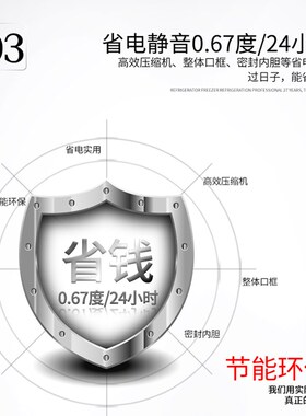 星星冰柜家用冰箱商用大容量冷藏冷冻两用小型双温冷冻柜