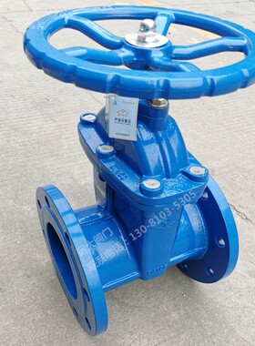 远大阀门Z45X-16Q球墨铸铁消防自来污水法兰dn100暗杆软密封闸阀