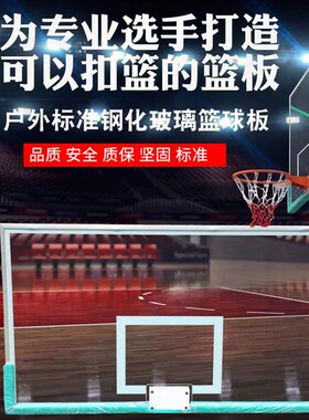 标准架蓝球式篮球架专用室内成人户外固定可扣篮球篮筐挂壁板篮框