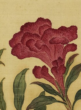 蒋廷锡花鸟册传统没骨花卉临摹范本中式装饰画艺术微喷绢布画心