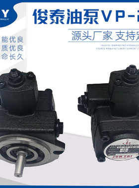 俊泰液压油泵总成VP20/15/12/08变量叶片泵VP30/40液压站配件大全