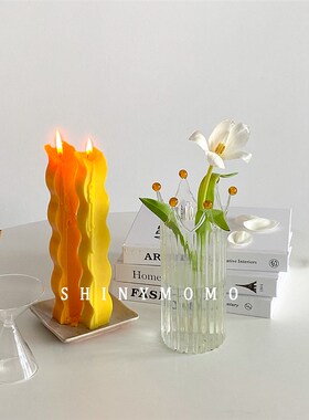 Shinymomo珠珠皇冠玻璃花瓶线条客厅装饰文艺插花瓶