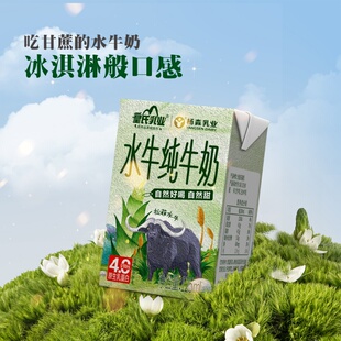 杨森乳业16盒水牛纯牛奶整箱