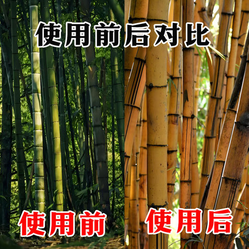 开荒打竹子杂草专用渗透剂灌木杂草一扫光老院子荒地园林除杂除根 - 图2