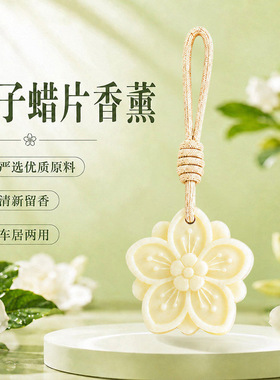 石膏香薰蜡片室内香味神器持久除味香氛车载香薰除味衣柜除味留香