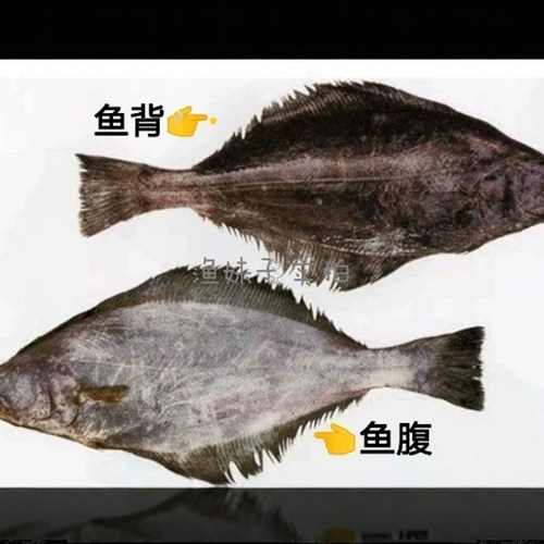 整条大鲽鱼1000g格陵兰比目鱼碟鱼头鱼身新鲜冷冻深海鱼不切备注 - 图3
