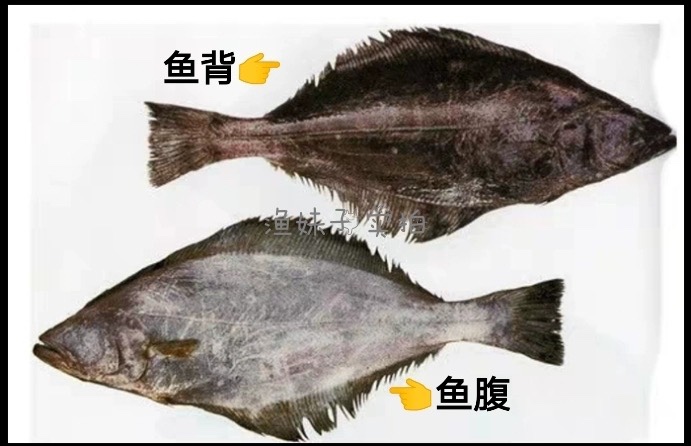 格陵兰大鲽鱼1400g-1250g/格陵兰比目鱼鸦片鱼非碟鱼头顺丰包邮-图1